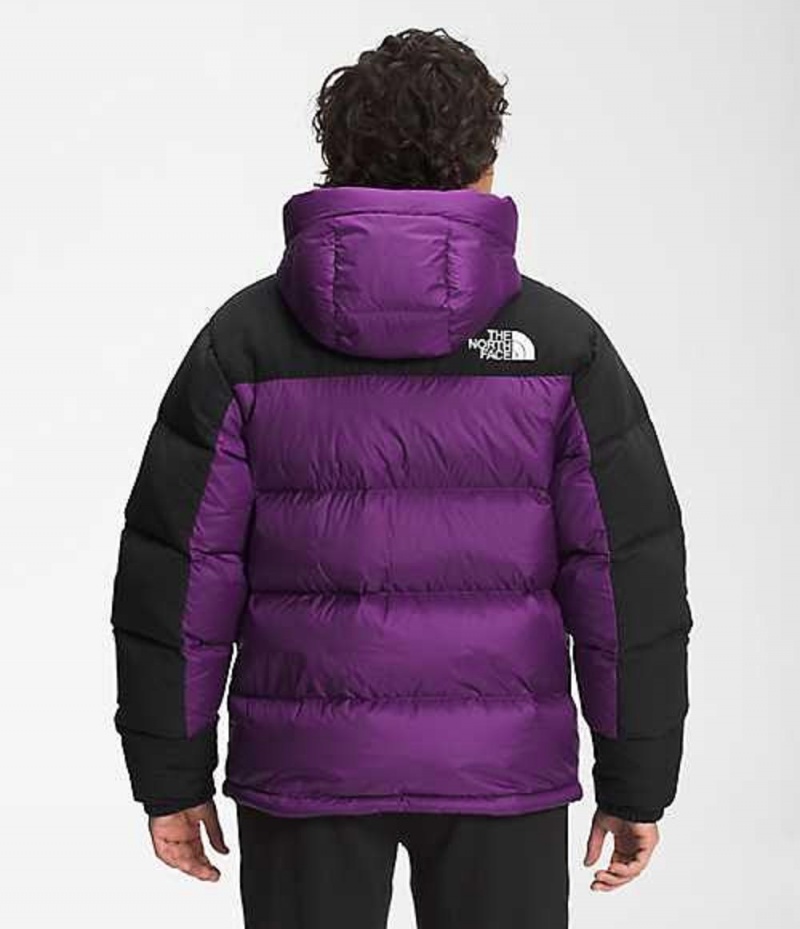 The North Face HMLYN Dunjacka Herr Lila | 7256941-CU