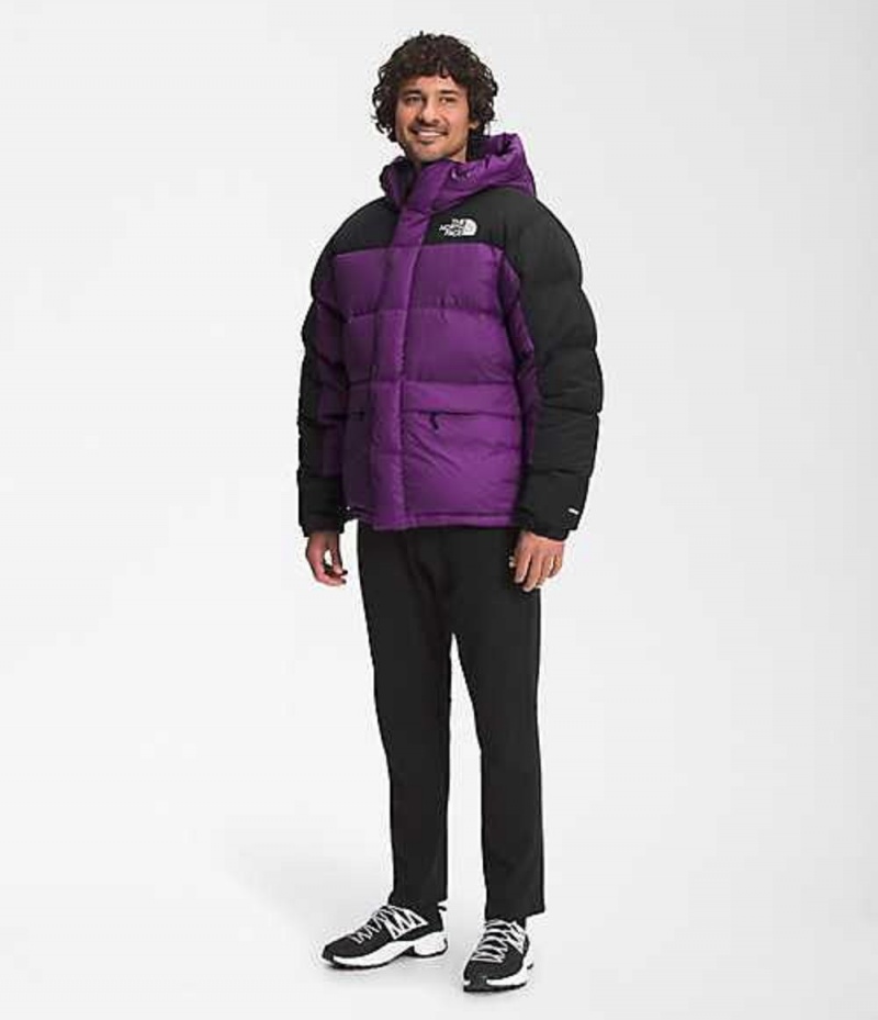 The North Face HMLYN Dunjacka Herr Lila | 7256941-CU