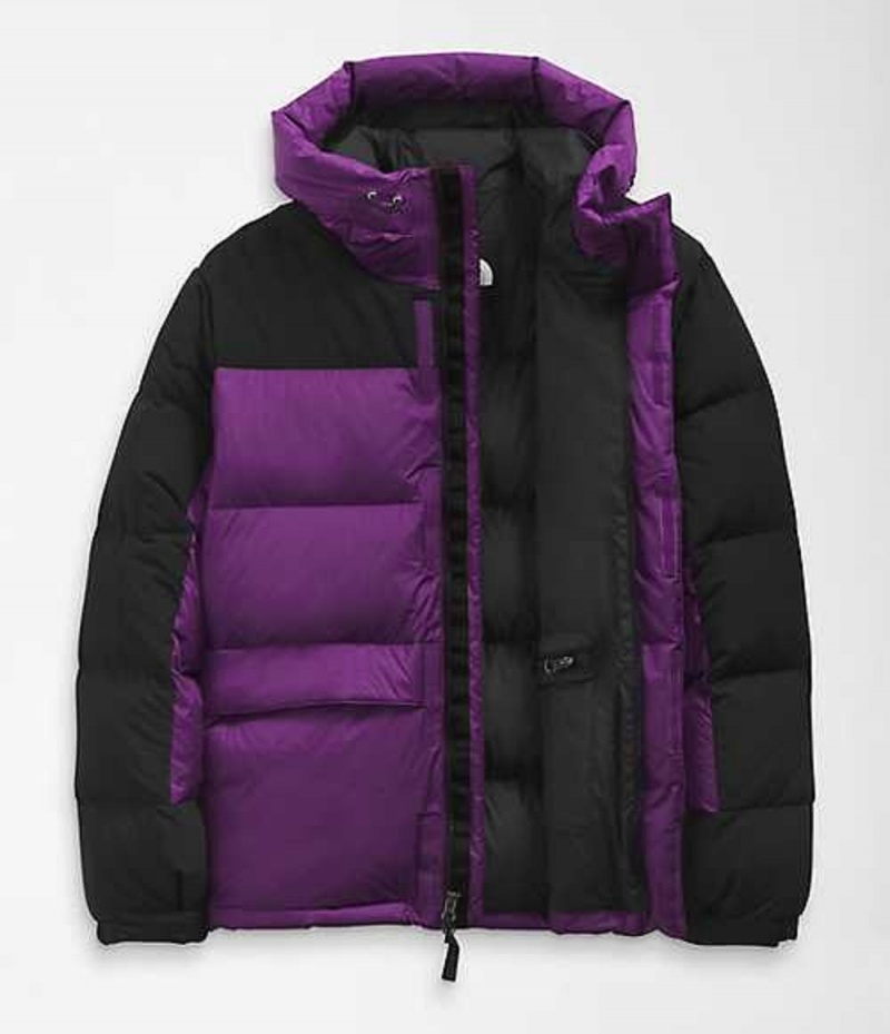 The North Face HMLYN Dunjacka Herr Lila | 7256941-CU