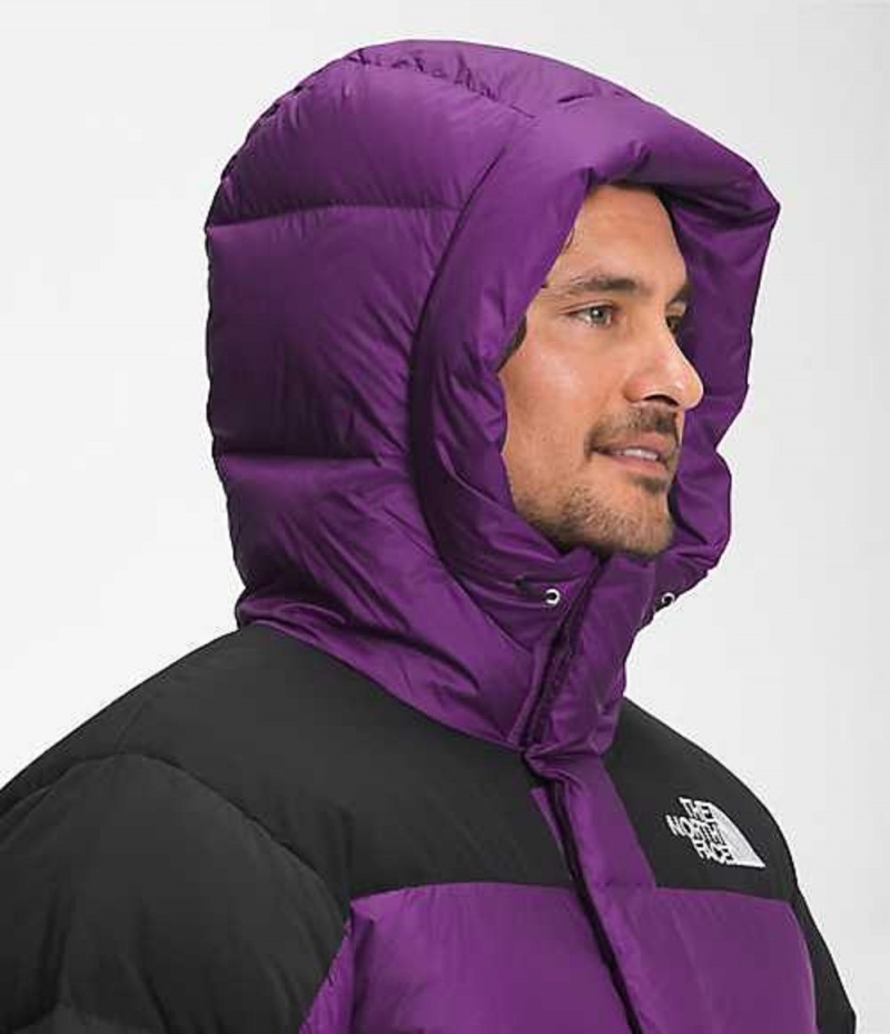 The North Face HMLYN Dunjacka Herr Lila | 7256941-CU