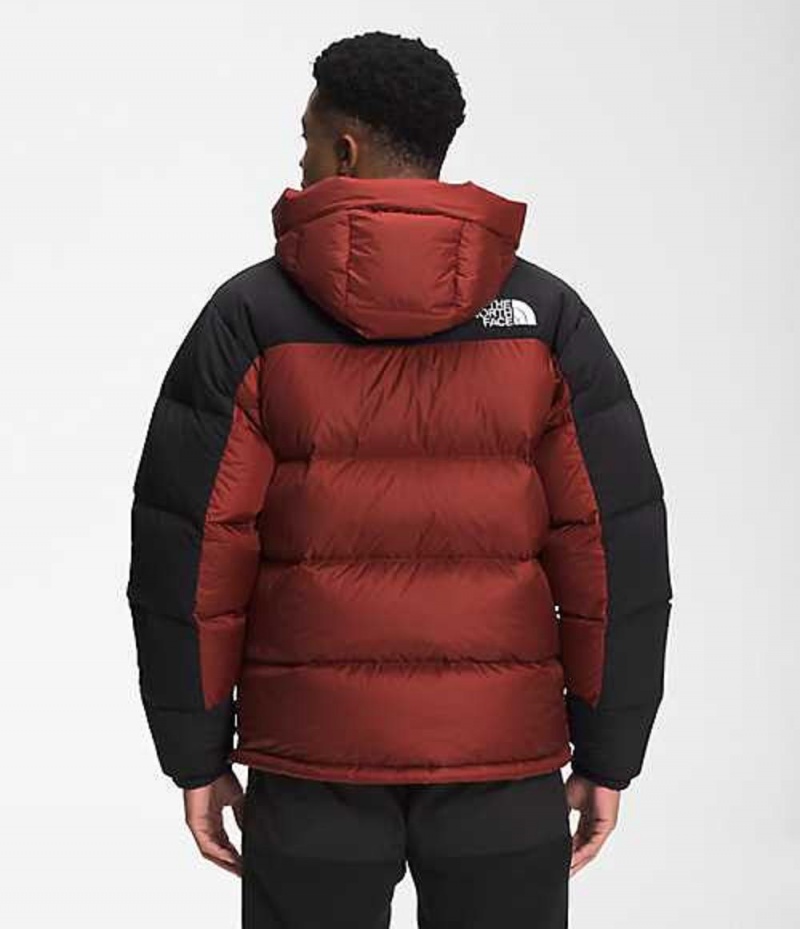 The North Face HMLYN Dunjacka Herr Röda | 1642805-LZ