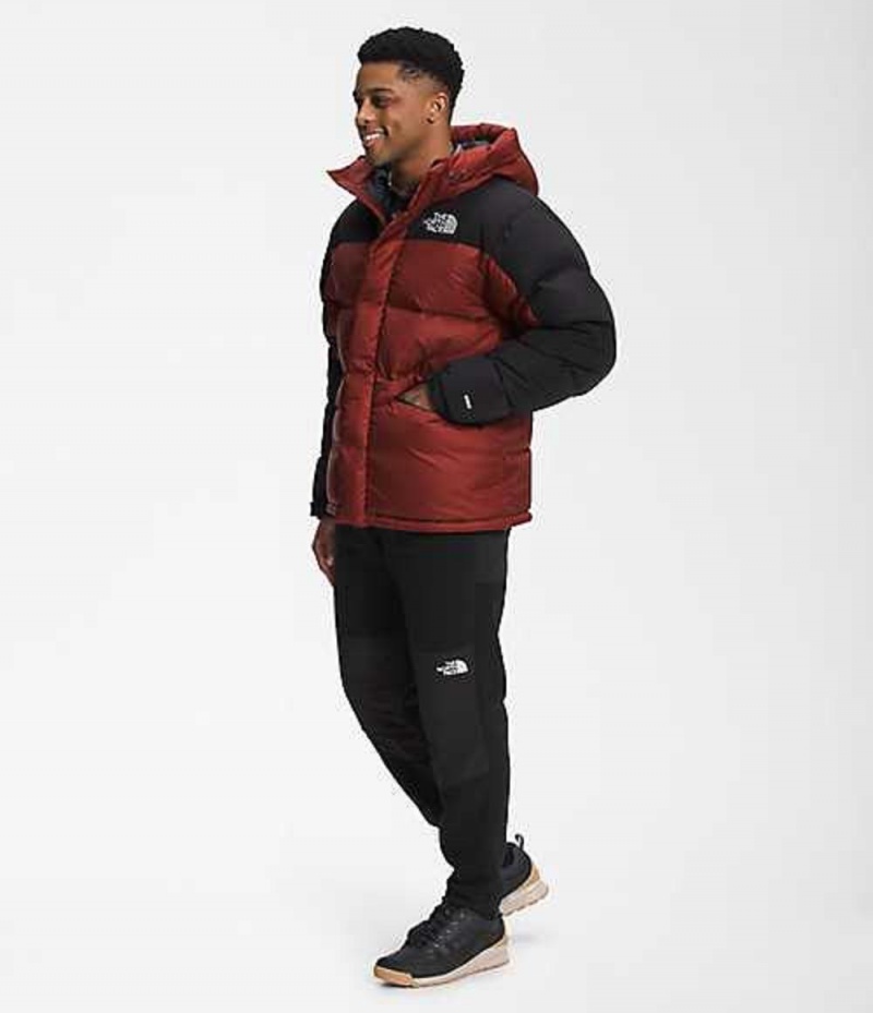 The North Face HMLYN Dunjacka Herr Röda | 1642805-LZ