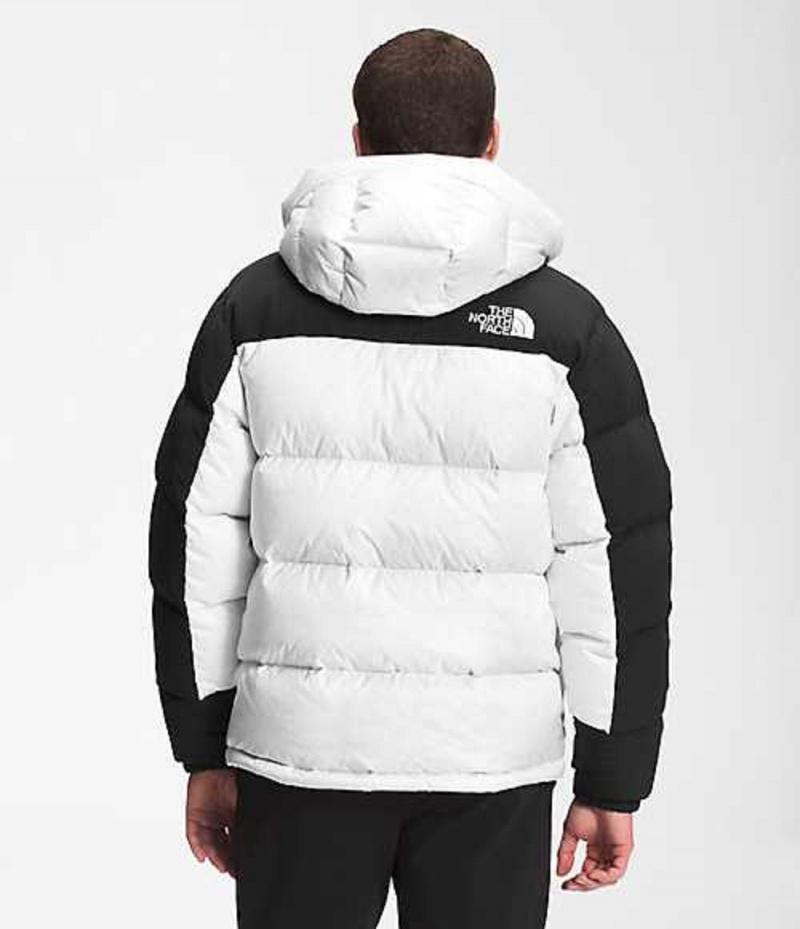 The North Face HMLYN Dunjacka Herr Vita | 6293718-DZ