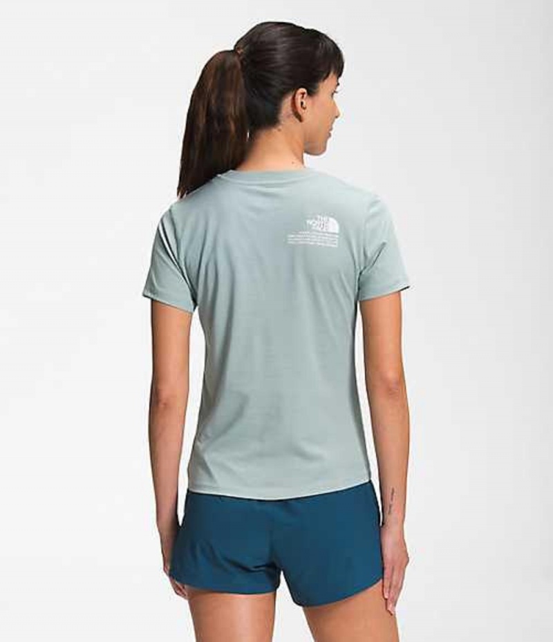 The North Face Himalayan T-Shirt Dam Silver Blå | 4379610-XB