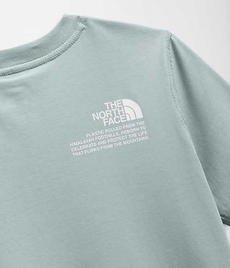 The North Face Himalayan T-Shirt Dam Silver Blå | 4379610-XB