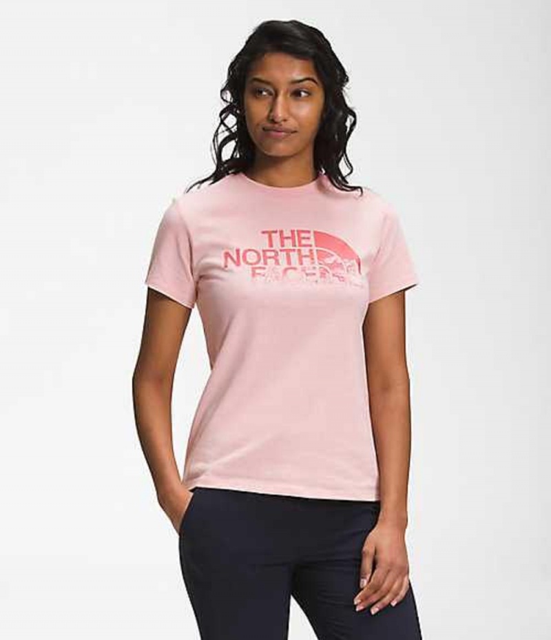 The North Face Logo Play T-Shirt Dam Rosa Bruna | 8153429-KD