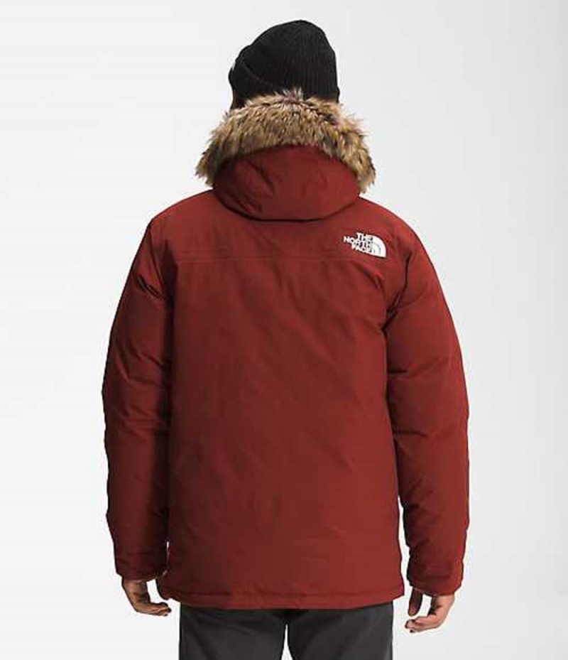 The North Face McMurdo Dunjacka Herr Röda | 4197865-BK