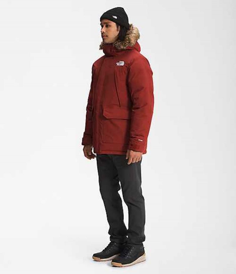 The North Face McMurdo Dunjacka Herr Röda | 4197865-BK