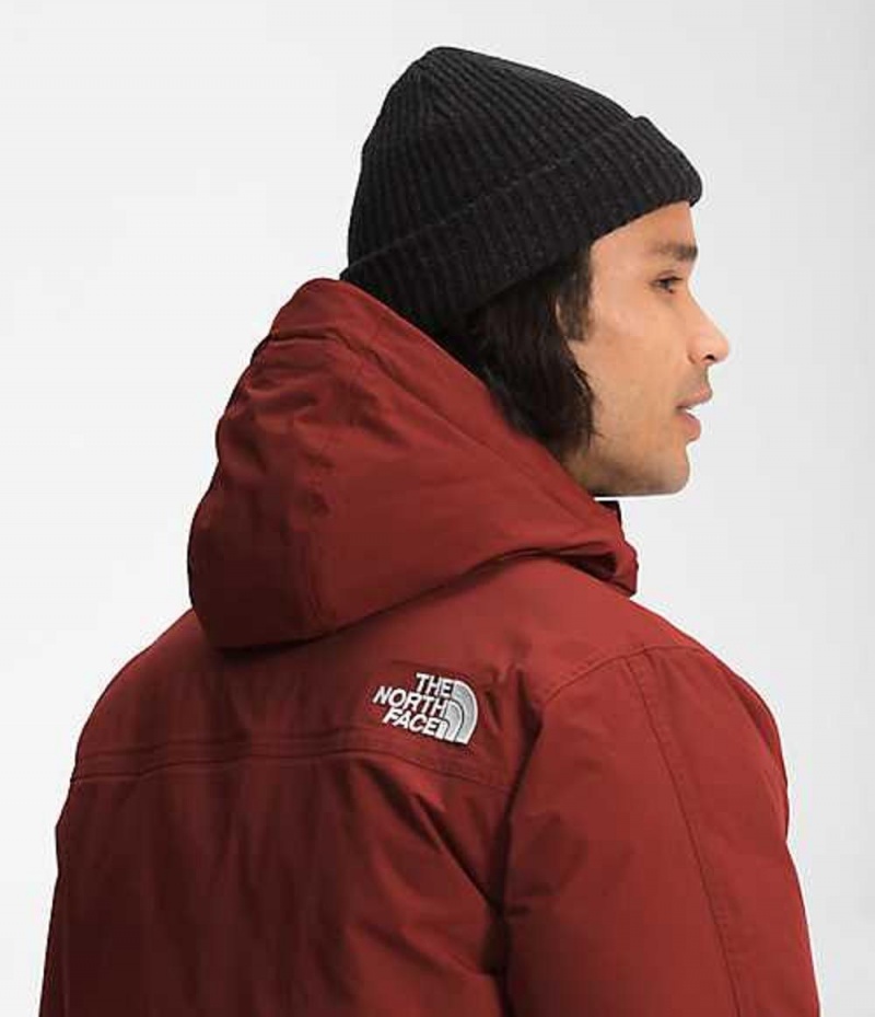 The North Face McMurdo Dunjacka Herr Röda | 4197865-BK