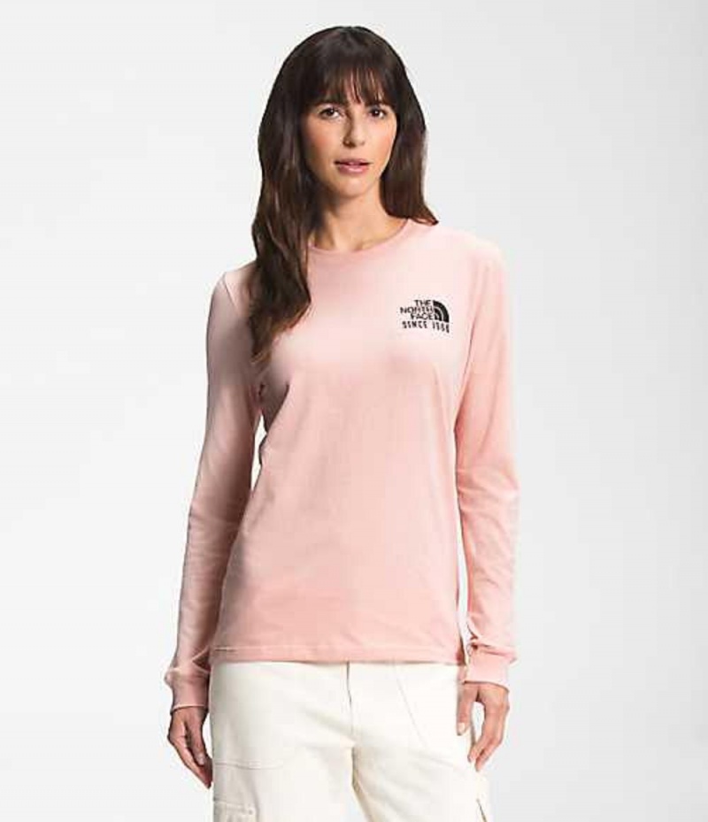 The North Face Mountain T-Shirt Dam Bruna Rosa | 2468905-FQ