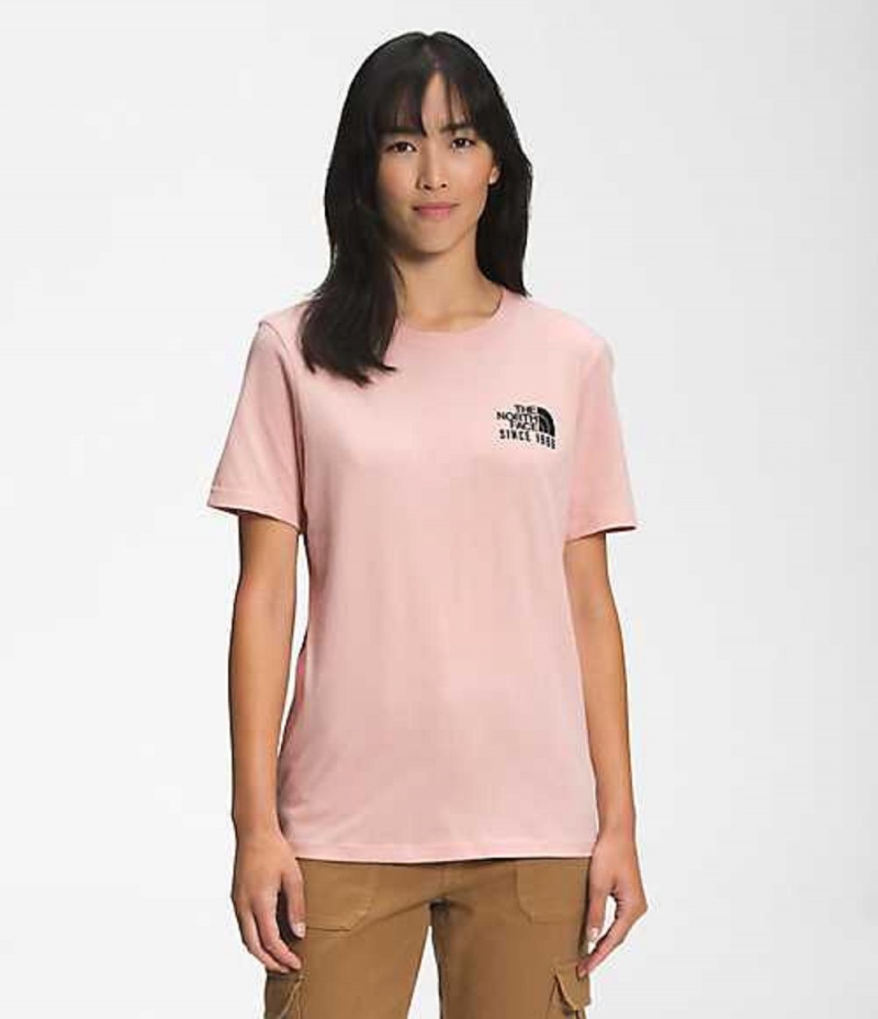 The North Face Mountain T-Shirt Dam Bruna Rosa | 1972368-SG