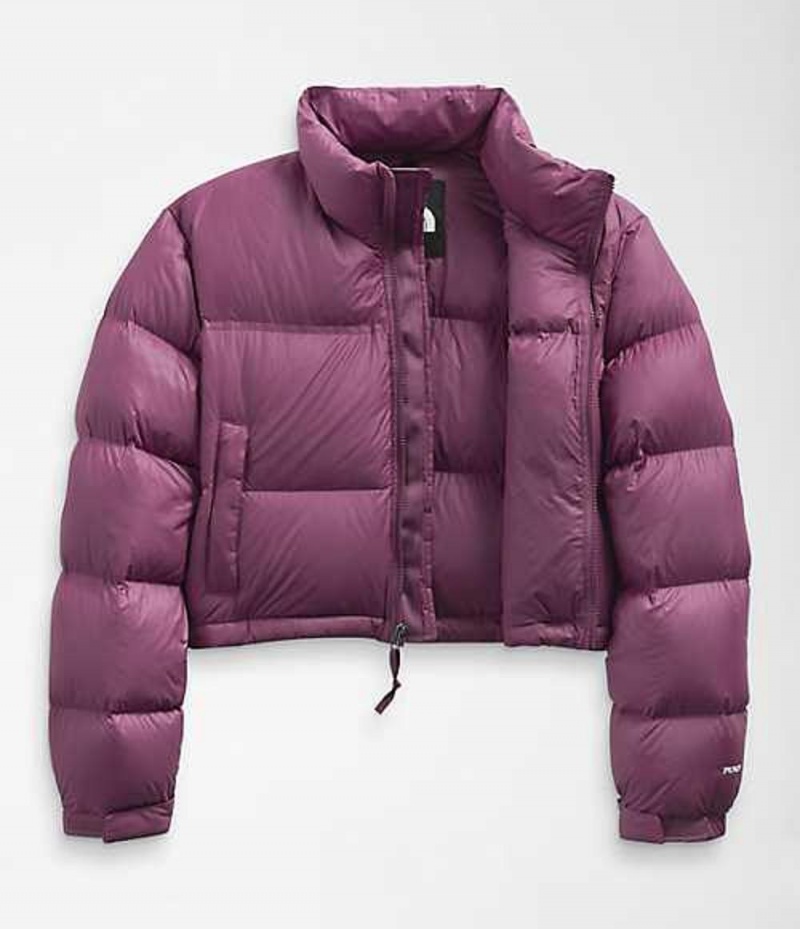 The North Face Nuptse Dunjacka Dam Lila | 7306219-TP