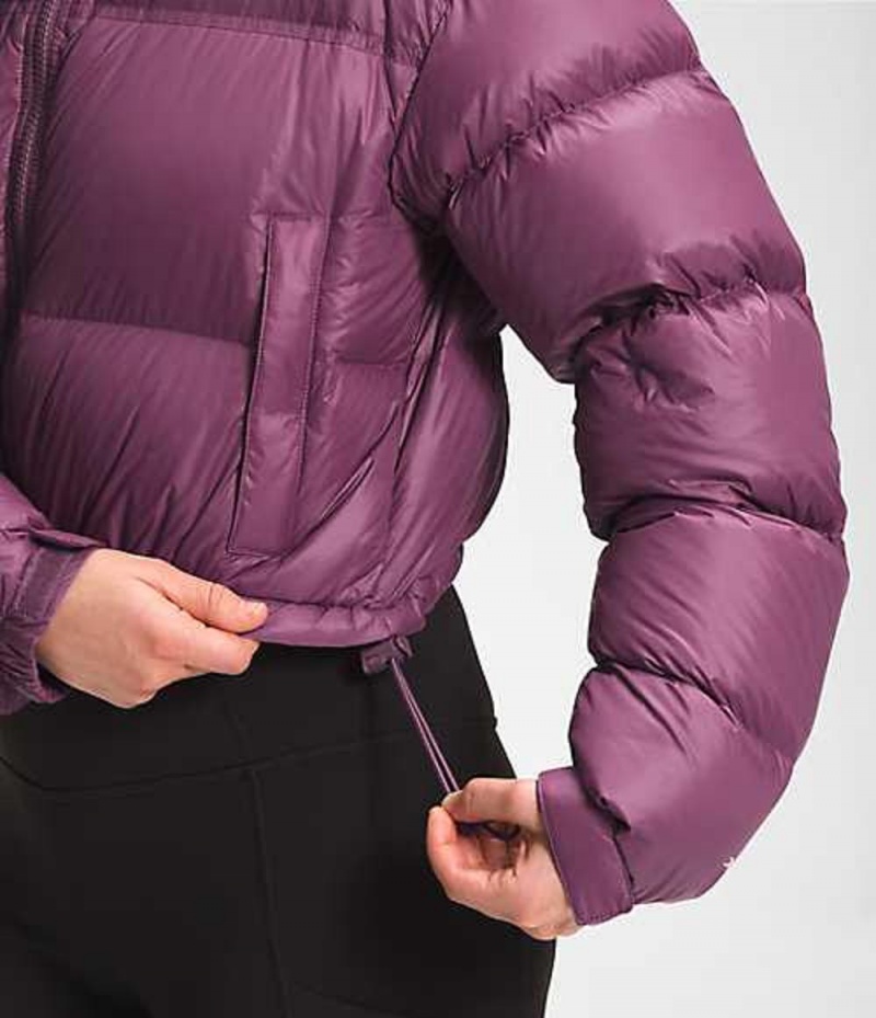 The North Face Nuptse Dunjacka Dam Lila | 7306219-TP