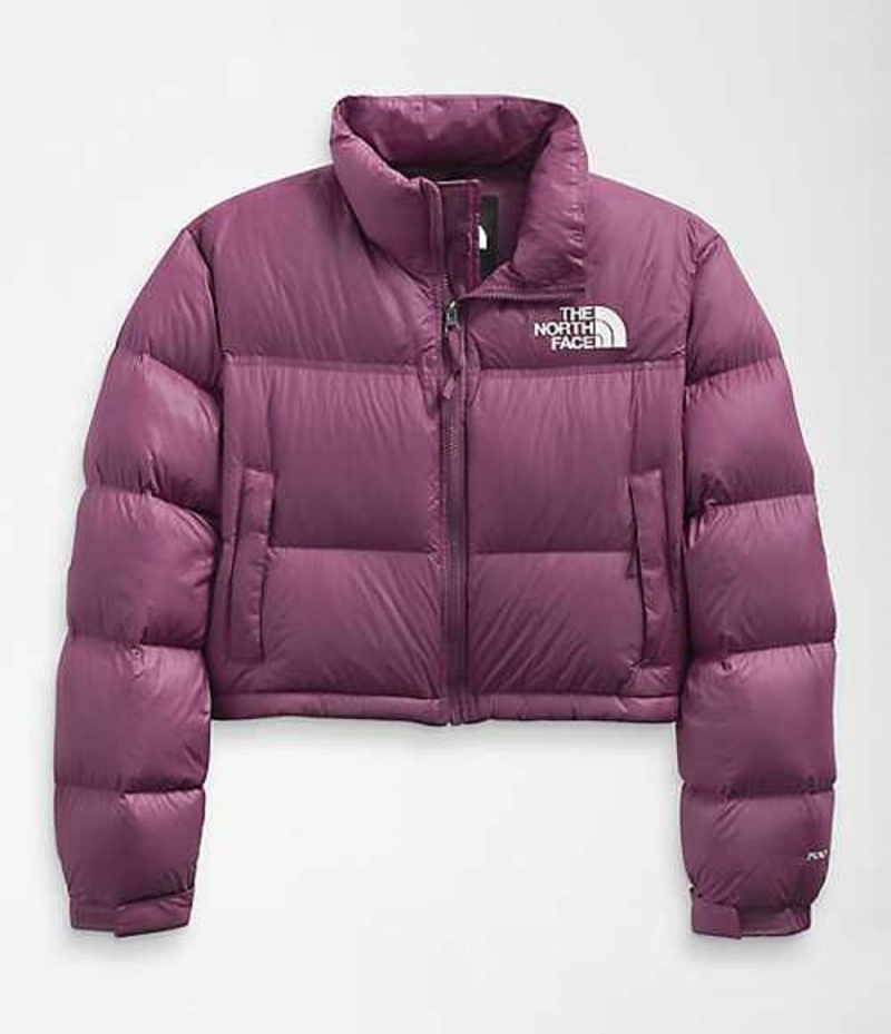 The North Face Nuptse Dunjacka Dam Lila | 7306219-TP