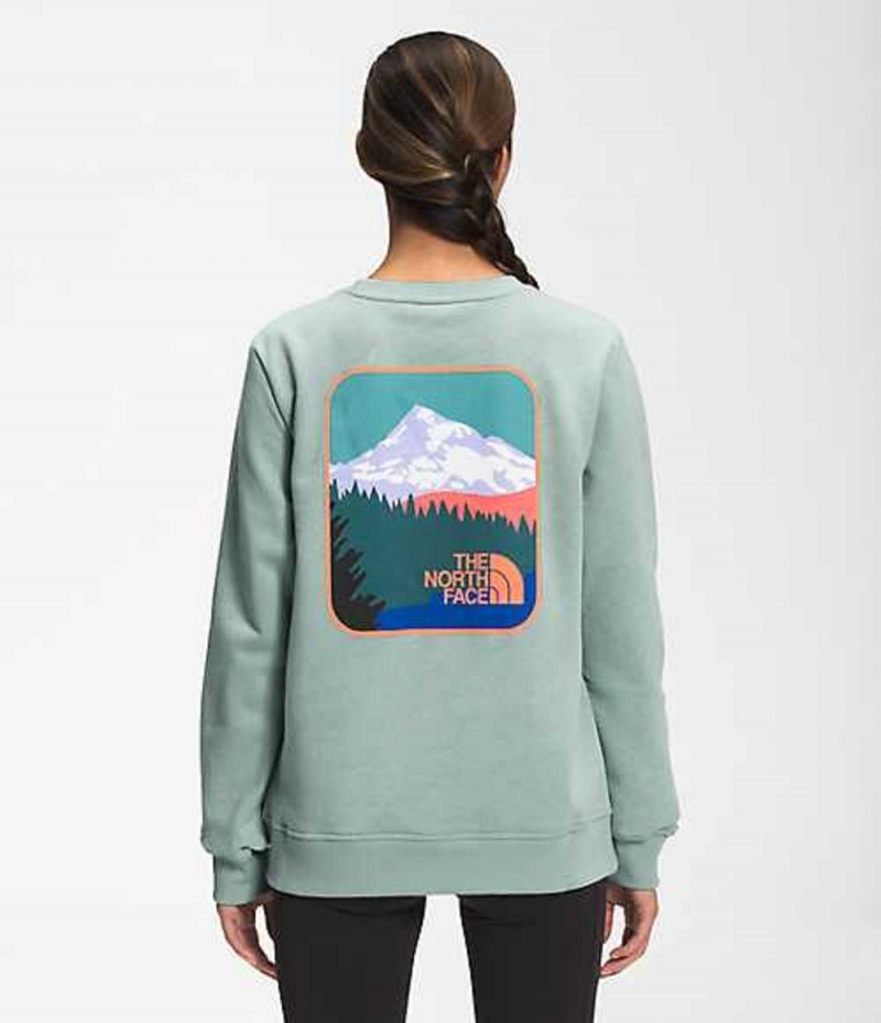 The North Face Parks Sweatshirt Dam Gröna | 5243617-AE