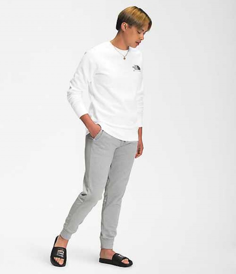 The North Face Pride Sweatshirt Herr Vita | 0249371-QS