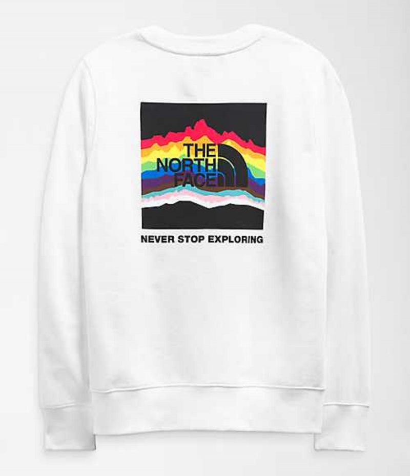 The North Face Pride Sweatshirt Herr Vita | 0249371-QS