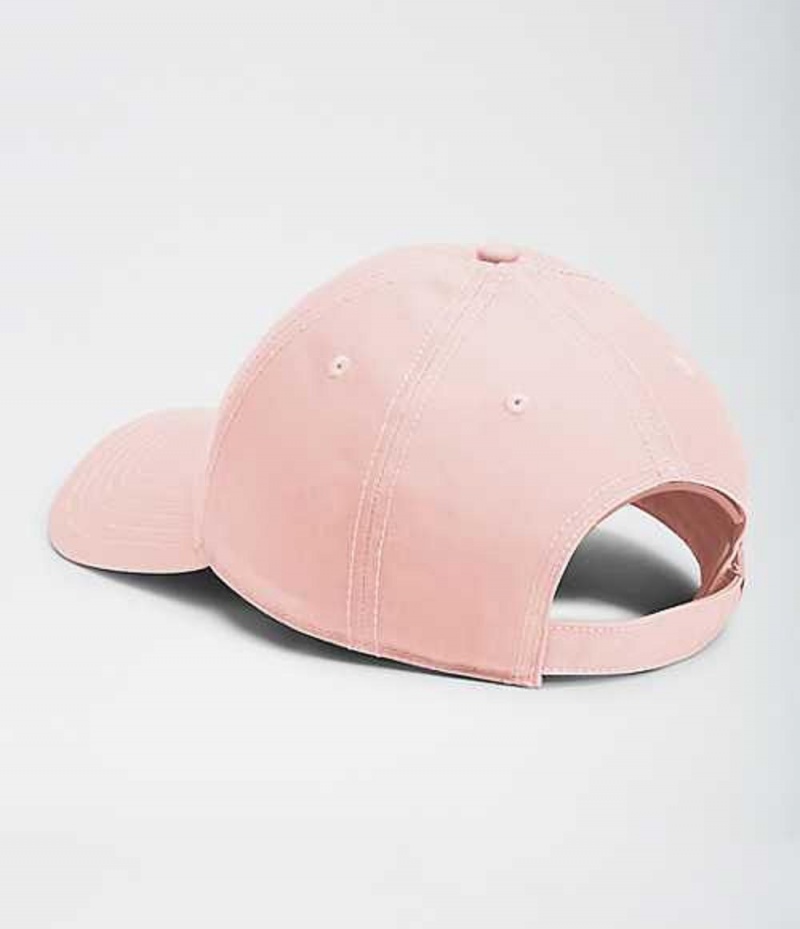 The North Face Recycled 66 Klassiska Hatt Herr Bruna Rosa | 0269578-RY