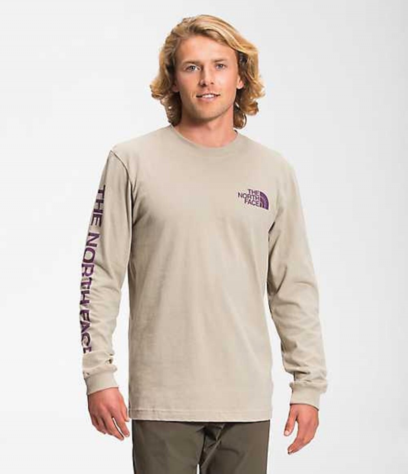 The North Face TNF™ Sleeve Hit T-Shirt Herr Grå | 2687305-QX