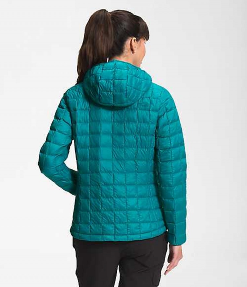 The North Face ThermoBall™ Eco Dunjacka Dam Turkos | 1560973-DY